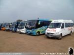 Flota de Buses Arriendo Cortes Flores