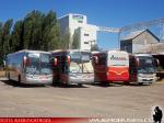 Flota de Buses Asec