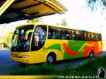 Flota de Buses Carrasco Leon