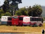 Flota de Buses Olguin