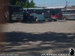 Flota Buses Ilomar