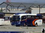 Flota de Buses Link