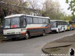 Flota de Buses Mave