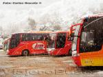 Flota de Buses JM