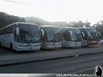 Flota Buses Pullman Bus Industrial