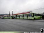 Flota de Buses ProTrans