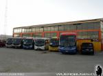 Flota de Buses Tandem