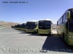 Flota de Buses Tur-Bus Industrial