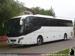 Golden Dragon XML6137J13 / Transfer Araucania