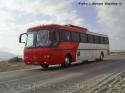 Mercedes Benz O-371RSL / Transporte Privado