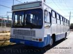 Jotave City / Mercedes Benz OF-1318 / Particular