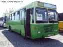 Metalpar Petrohue Ecologico / Mercedes Benz OF-1318 / Bus Particular