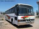 Mercedes Benz O-371R / Transporte Privado