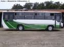 Thamco Scorpion / Mercedes Benz OF-1115 / Transporte Privado