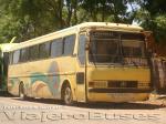 Mercedes Benz O-371RS / Particular