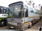 Mercedes Benz O-303 / Particular