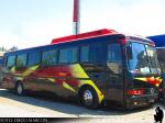 Mercedes Benz O-371RS / Particular