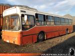 Mercedes Benz O-371UP / Particular