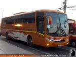 Comil Campione 3.45 / Mercedes Benz O-500RS / Cortes Flores