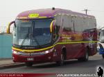 Marcopolo Viaggio 1050 G7 / Mercedes Benz O-500RS / Thaebus