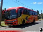 Marcopolo Viaggio G7 900 / Mercedes Benz OF-1722 / Soc. Transporte Bahamonde Ltda.