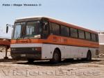 Mercedes Benz O371RS / Transporte Personal Sta. Marta