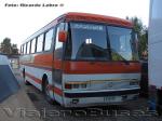 Mercedes Benz O-371R / Particular