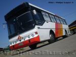 Metalpar Petrohue 2000 / Mercedes  Benz OH-1420 / Buses Crifelan