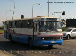 Mercedes Benz O-365 / Particular