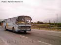 Mercedes Benz O-302 / Transporte agricola Zuidland