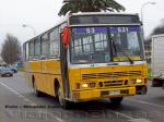 Ciferal Padron Rio / Mercedes Benz OF-1318 / Transporte Agricola