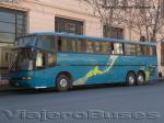 Marcopolo Paradiso 1150 / Scania K113 / Particular