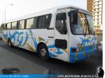 Mercedes Benz O-371R / Particular