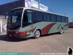 Marcopolo Ideale 770 / Mercedes Benz OF-1722 / Particular