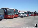 Flota de Buses Pullman Bus Industrial