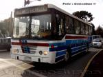 Metalpar Petrohue / Mercedes Benz OF-1318 / Particular