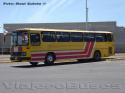 Mercedes Benz O-364 / Bus Particular