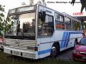 Caio Vitoria / Mercedes Benz OF-1115 / Bus Particular