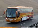 Mascarello Roma 350 / Mercedes Benz O-500RS / Isaver