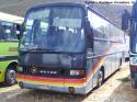 Kassbhorer Setra S215HD / Transporte Privado