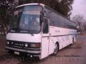 Kassbhorer Setra S215HD / Buses Elohim