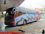 Irizar Century / Scania K360 / I. Municipalidad de Ancud