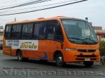 Marcopolo Senior / Mercedes Benz LO-914 / Buses Thiele - Linea Azul