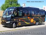 Marcopolo Senior / Mercedes Benz LO-915 / Buses Pavez