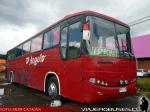 Marcopolo Viaggio GIV / Scania K113 / D`Angelo