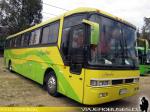 Busscar Jum Buss 340 / Scania K113 / JupaBus