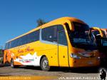 Irizar I6 / Scania K360 / Cortes Flores