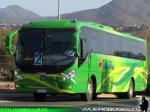 Caio Solar / Mercedes Benz O-500R / Jota Bus