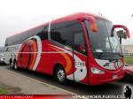 Irizar I6 / Mercedes Benz O-500RSD / SRT Cielo