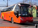 Young Man JNP6120T Starliner / Pullman Bus División Industrial